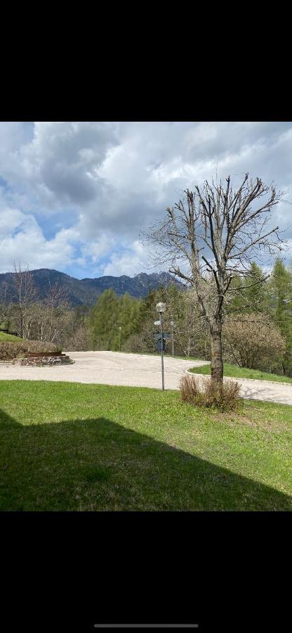 Casa Gilda Val Di Fiemme - Dolomiti Appartement